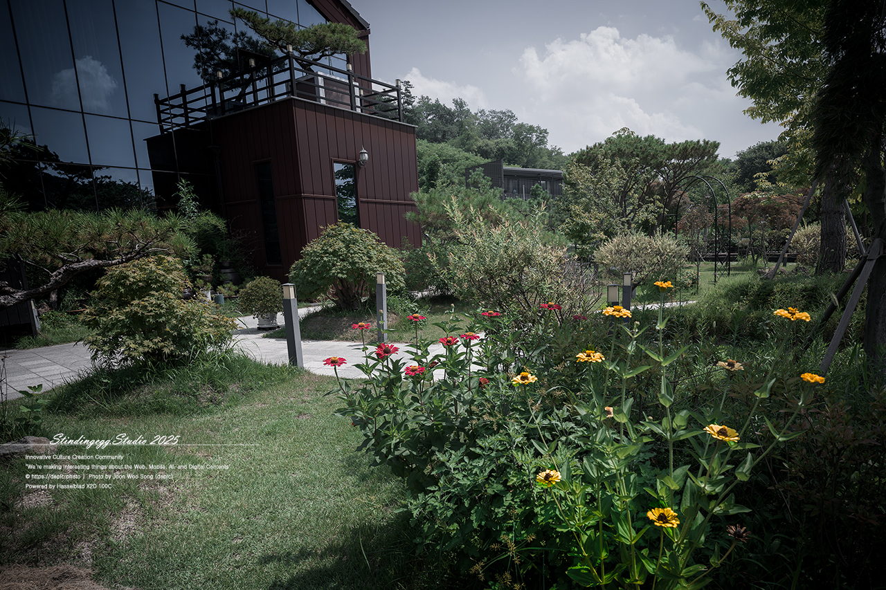 #증평 #카페 #미몽