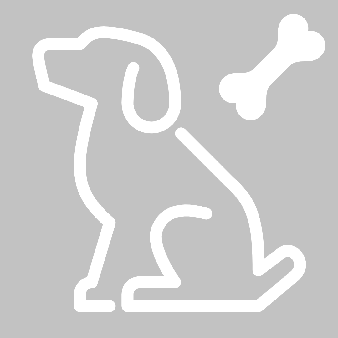 입양 전 꼭 체크해야하는 강아지 필수 용품 확인