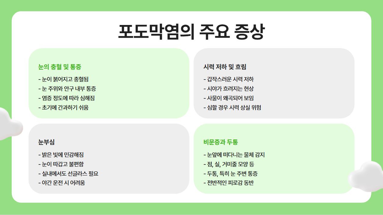 포도막염의 주요 증상