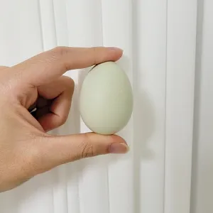 청란