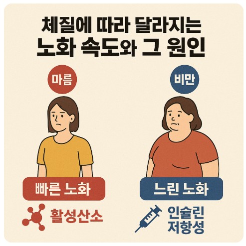 체질에 따른 노화 속도와 그 원인
