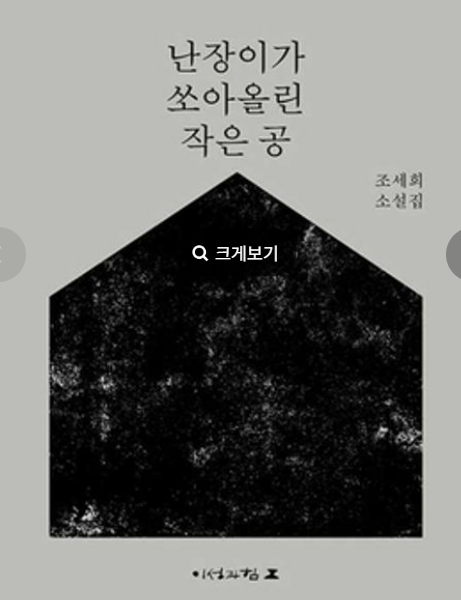 '난쟁이가 쏘아 올린 작은 공' 책 사진