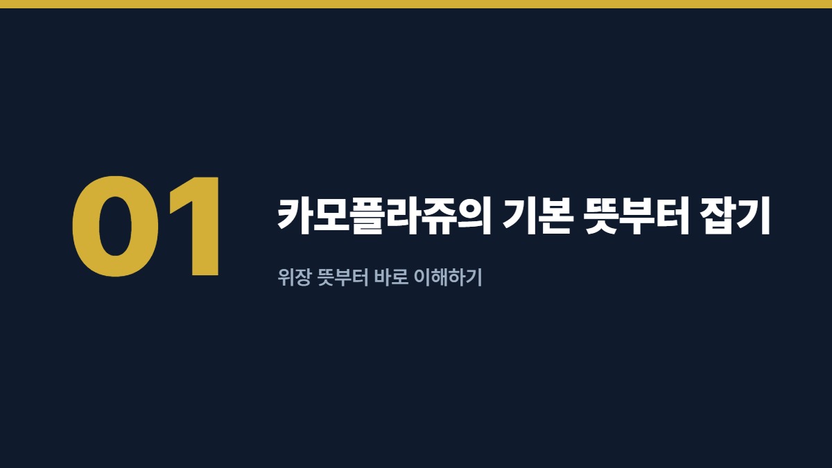 카모플라쥬의 기본 뜻부터 잡기 — 위장 뜻부터 바로 이해하기