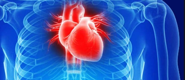 젊은이들의 성관계와 갑작스런 심장사 Sex and Sudden Cardiac Death in Young People