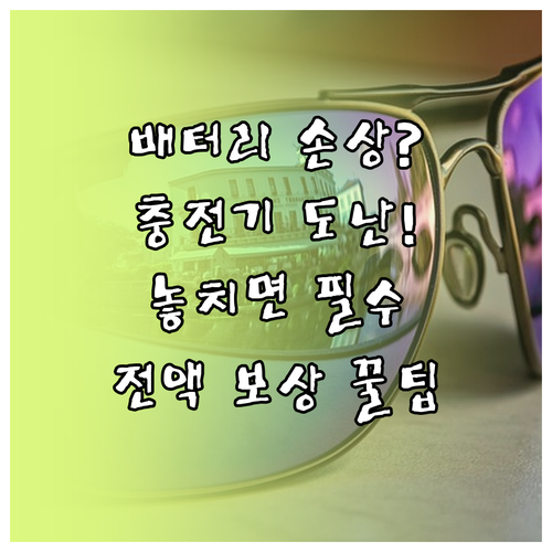 고전압 배터리 손상부터 충전 케이블 ..