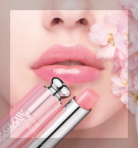 쿨톤 추천 아이템