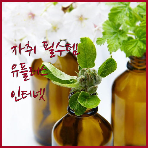 자취생 필수! 가성비 좋은 인터넷, 