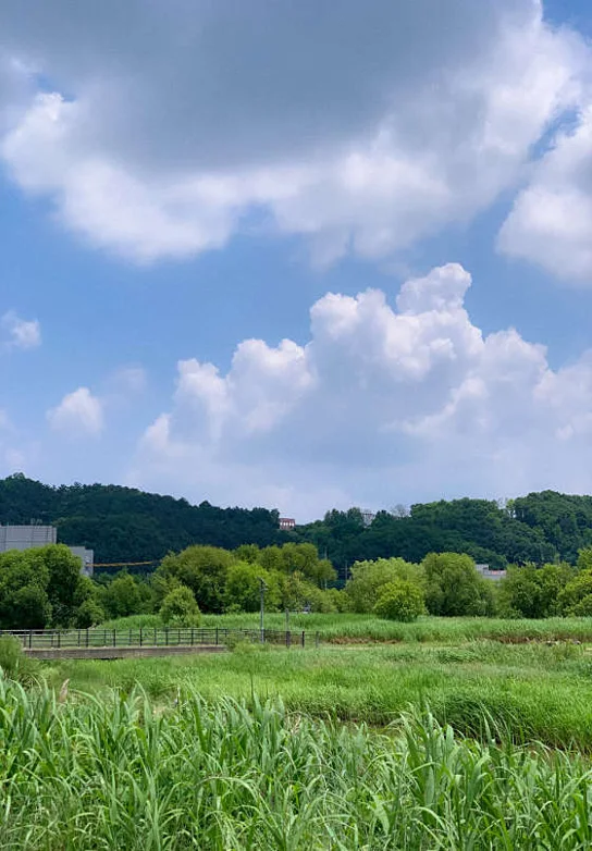 장동만남공원