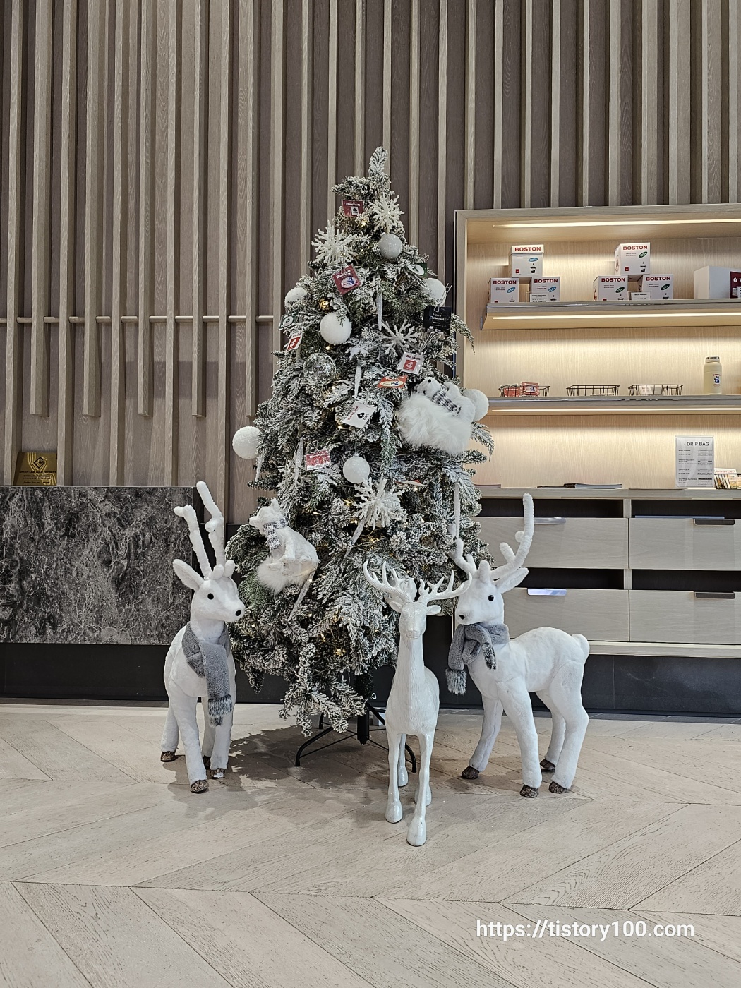 보스턴커피 동성로점