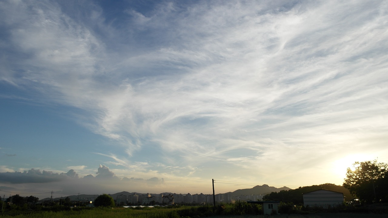 밤일상