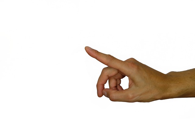 세금 관련 사진