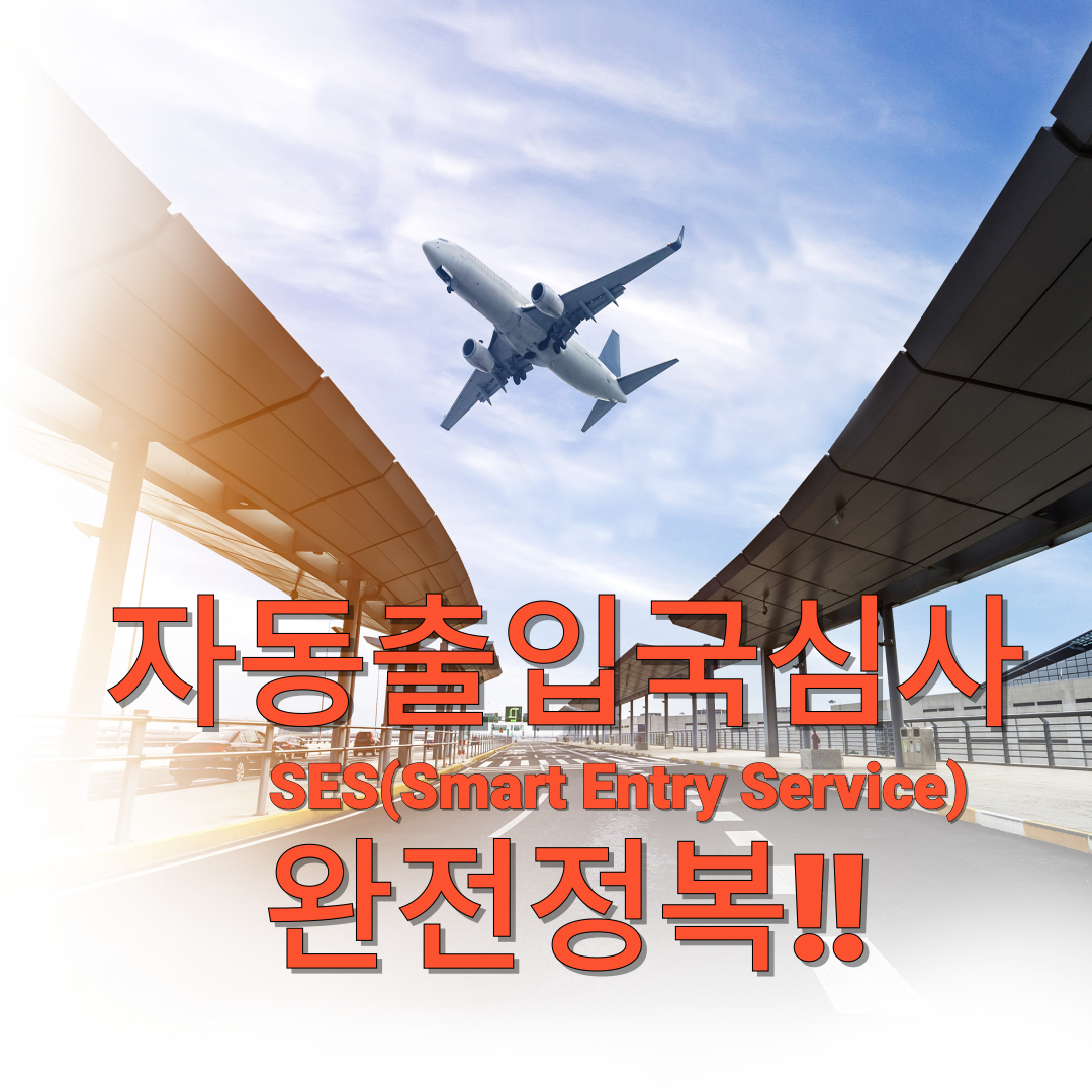 자동출입국심사