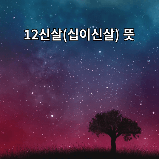 12신살 뜻