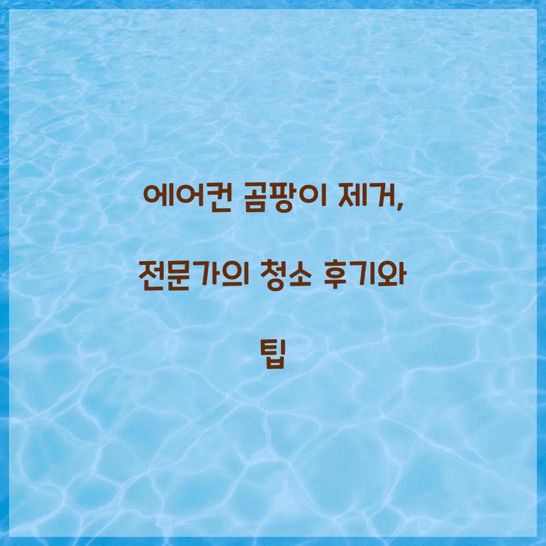 에어컨 곰팡이 제거