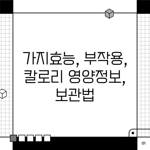 가지효능, 부작용, 칼로리 영양정보, 보관법