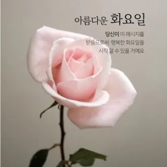 화요일 아침 인사말 좋은 글 9월 가을 이미지들_28