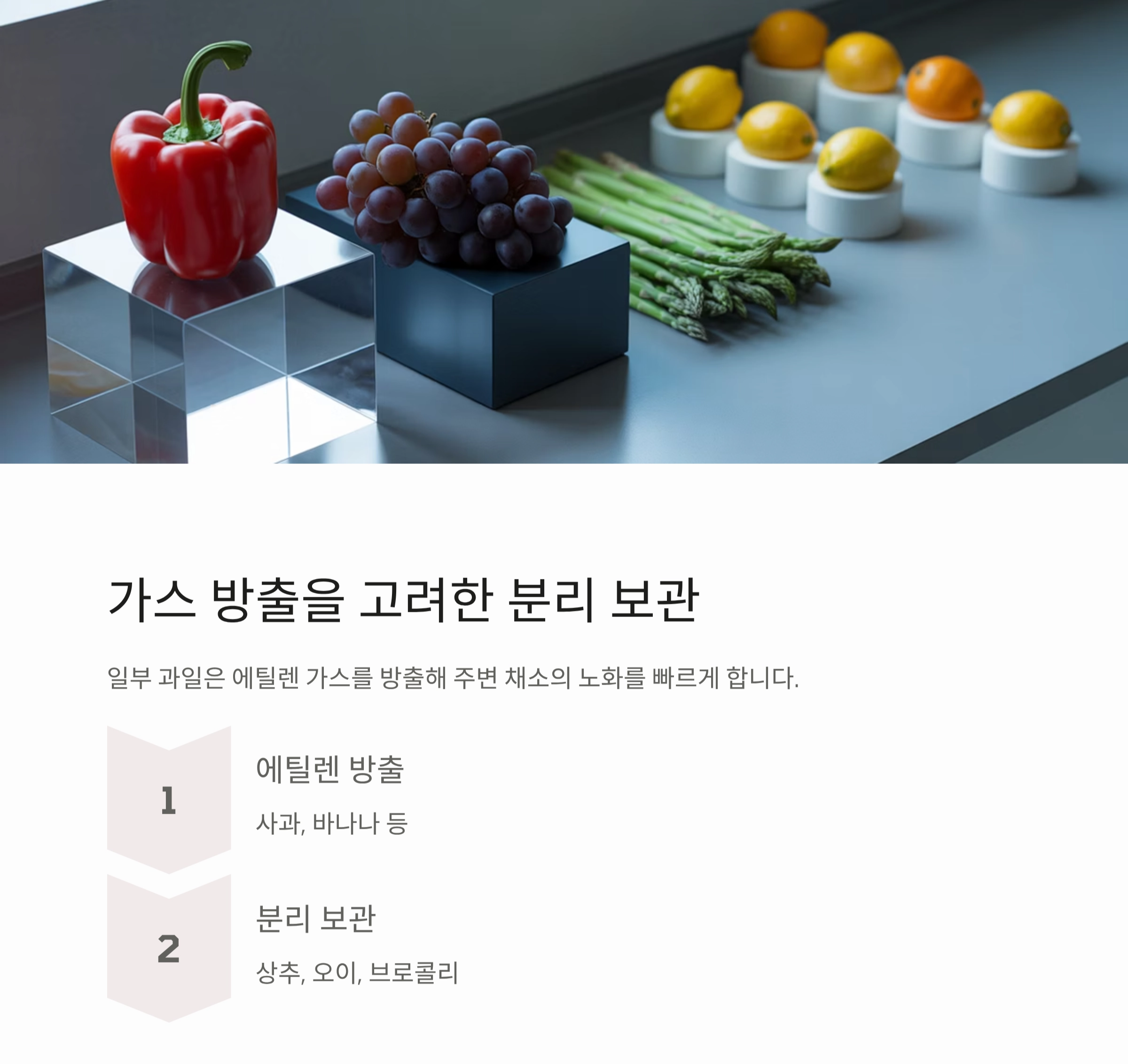 채소 오래 보관하는 과학적인 방법, 신선함 지키는 비밀