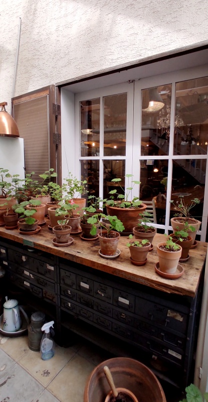 빈티지 가구위에 올려져 있는 토분