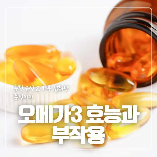오메가3 효능과 부작용