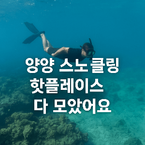 동해안 스노쿨링 포인트 Best 27곳