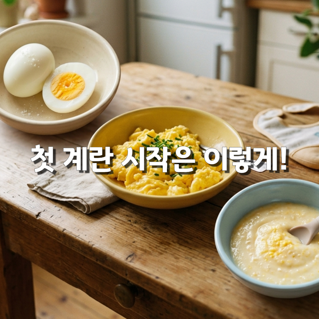 아기 계란 알레르기 걱정된다면 처음 먹이는 방법과 주의사항🍳