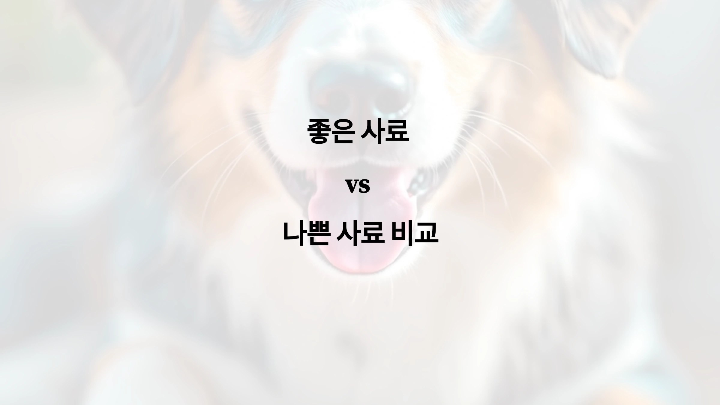 강아지에게 좋은 사료 vs 나쁜 사료 비교