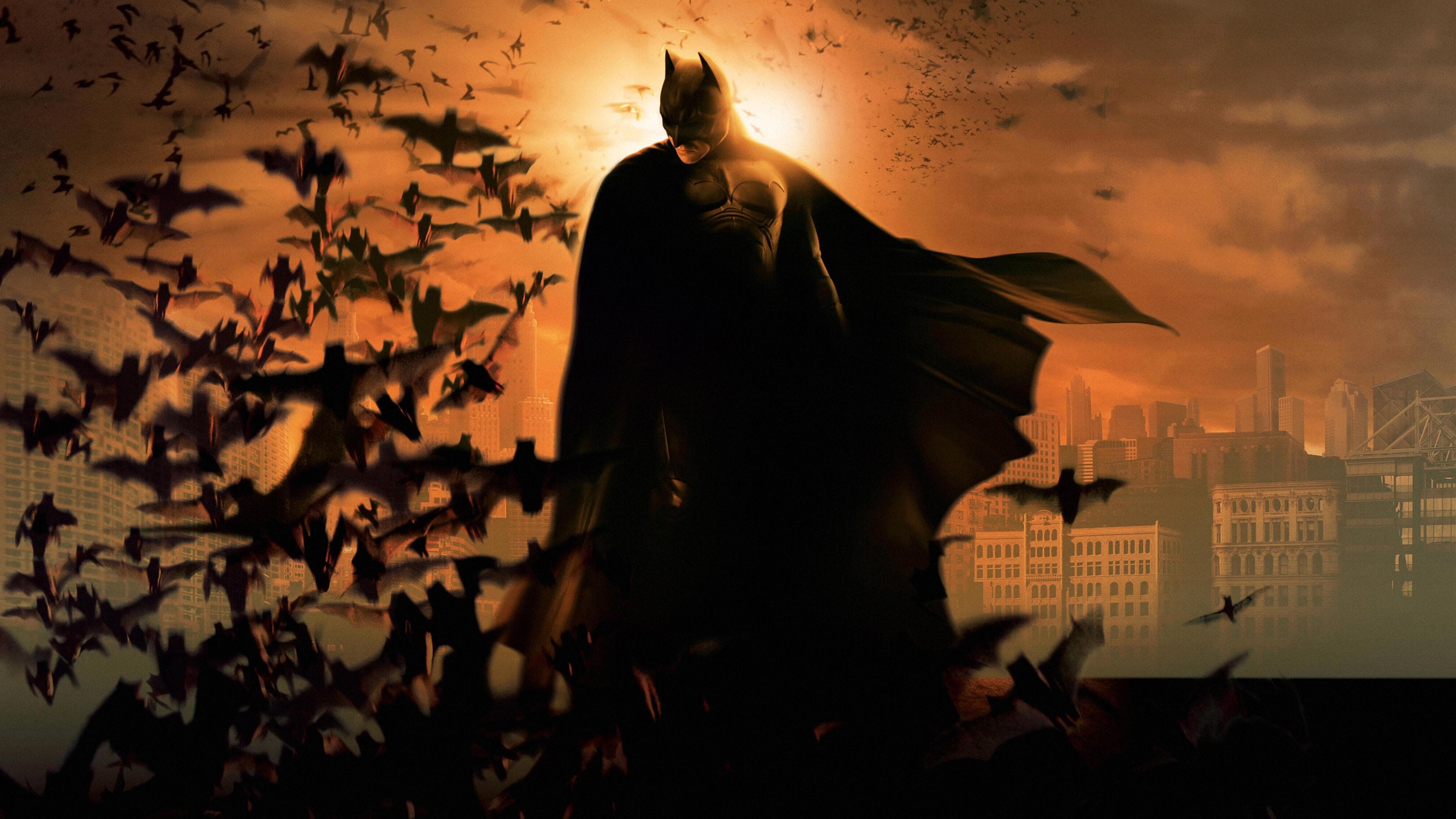 배트맨 비긴즈(Batman Begins, 2005)