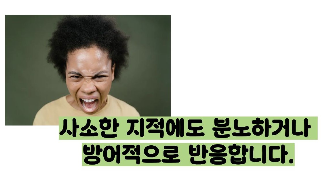 편집증 이란