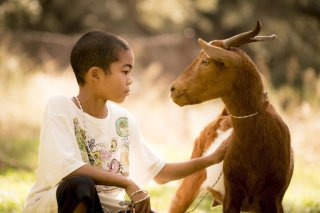 나마디 조엘 진 프로필