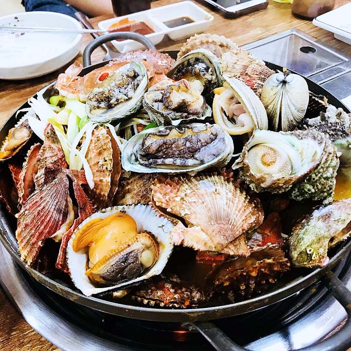 거제 거제도 맛집 추천 생방송투데이 청정 남해바다를 겹겹이 새조개 샤브샤브 코끼리조개 회 4단 해물찜 오늘방송 자족식당