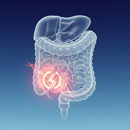 대장 질환: 묵직하고 불편한 통증의 비밀