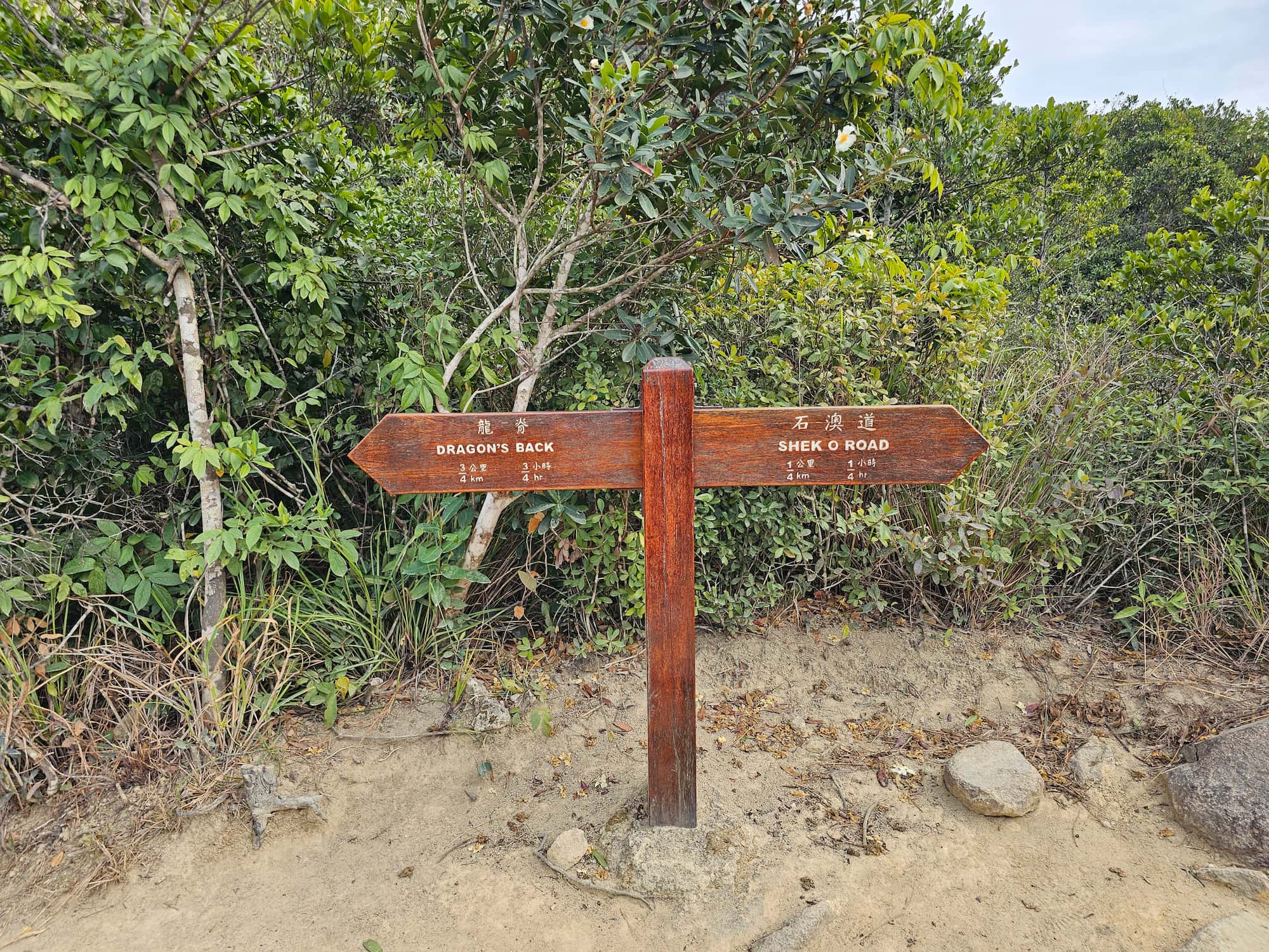 드래곤즈 백 후기