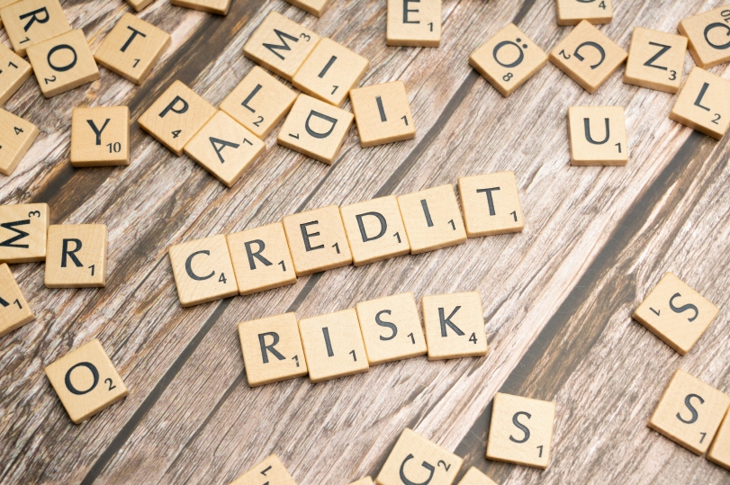 CREDIT RISK 영어 문구 이미지