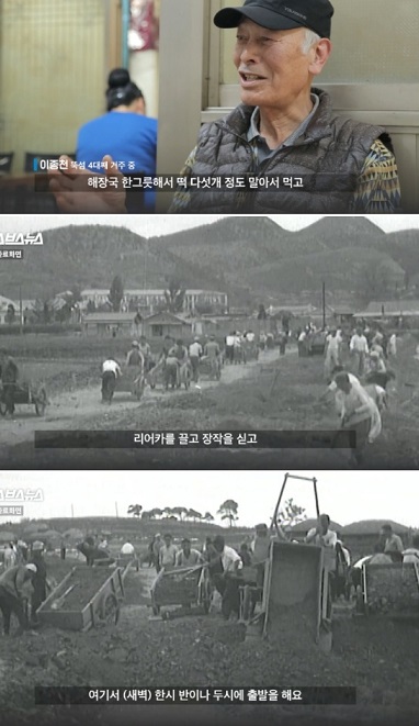 뚝섬-뚝도시장-국말이떡-성수동-떡마을