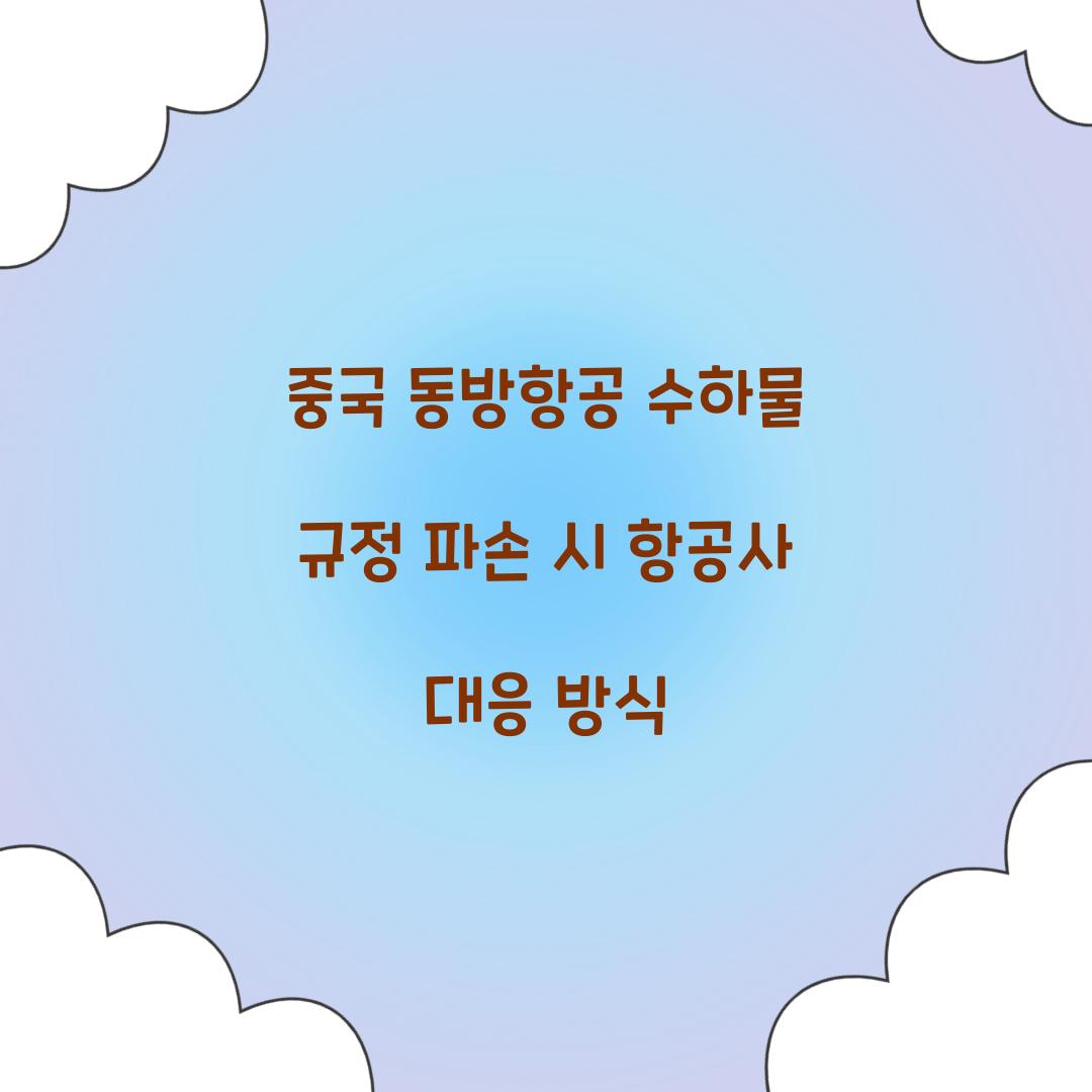 중국 동방항공 수하물 규정 파손 시 항공사 대응 방식