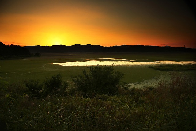 img src=&quot;changpowon_Changnyeong_upo_Ramsar_travel.jpg&quot;alt=&quot;거창 창포원 창녕 우포늪 여행&quot;