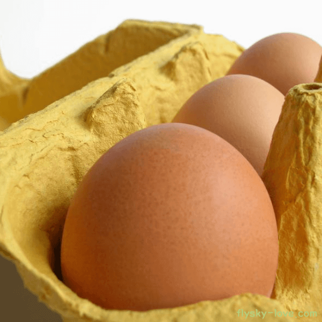 완전식품 달걀, 계란