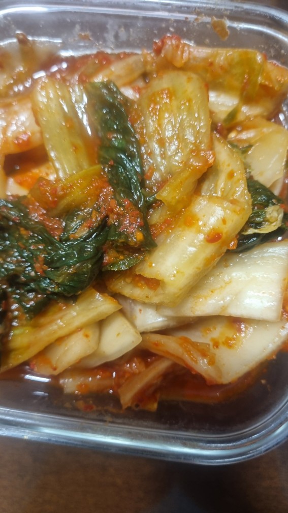 김장김치 무르는 이유 