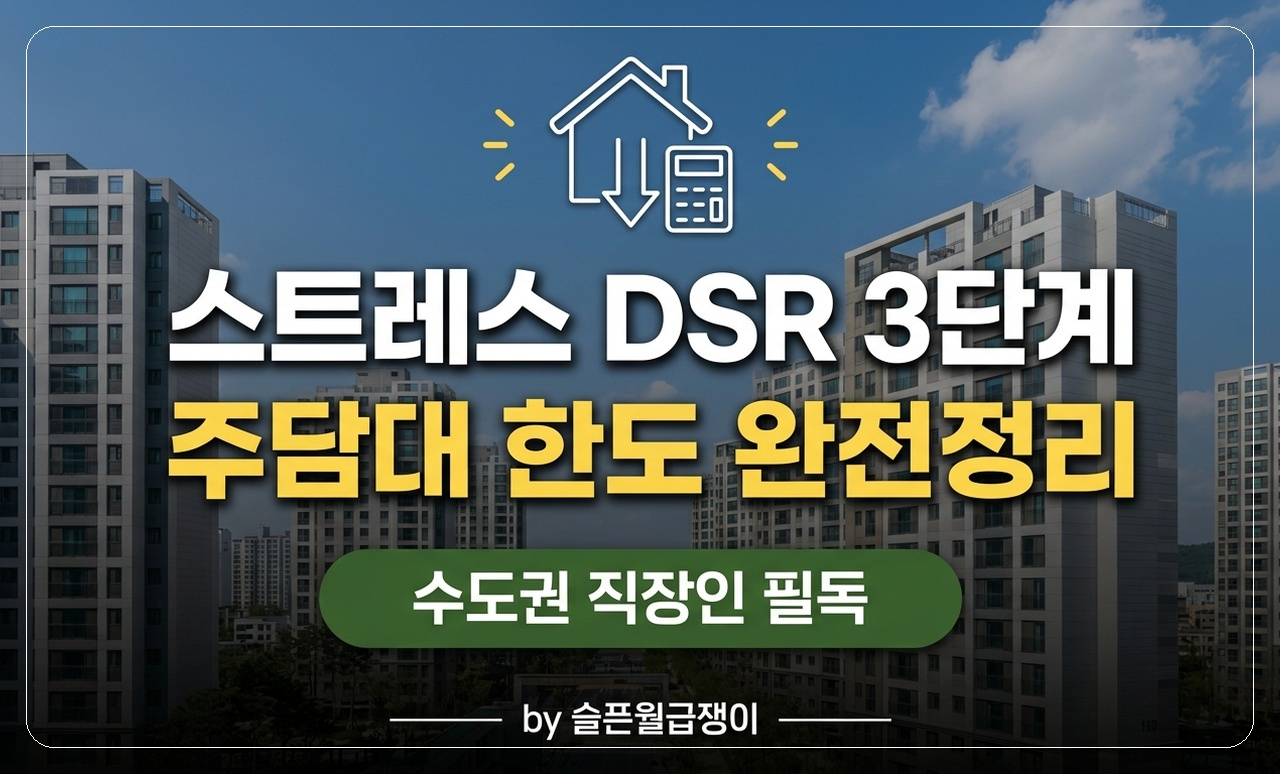 스트레스 DSR 주담대 썸네일