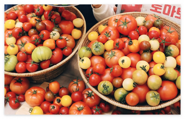 전립선에-좋은-음식