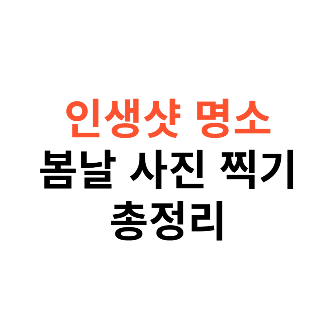 인생샷 명소 추천