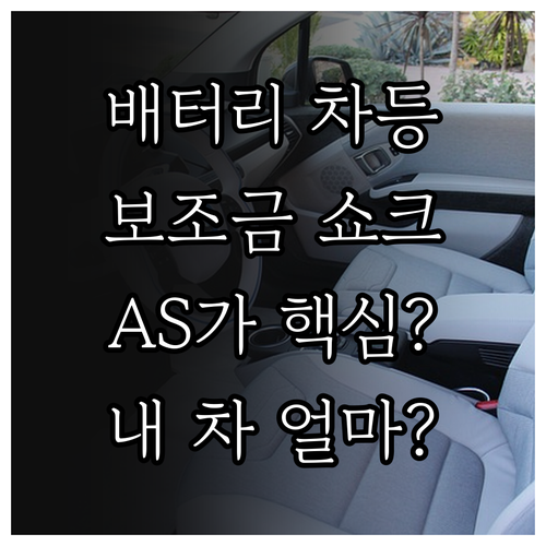 배터리 성능과 사후 서비스에 따른 전..