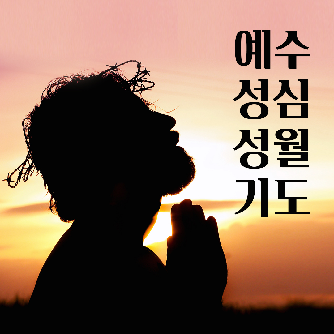 예수성심성월