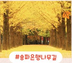 남이섬