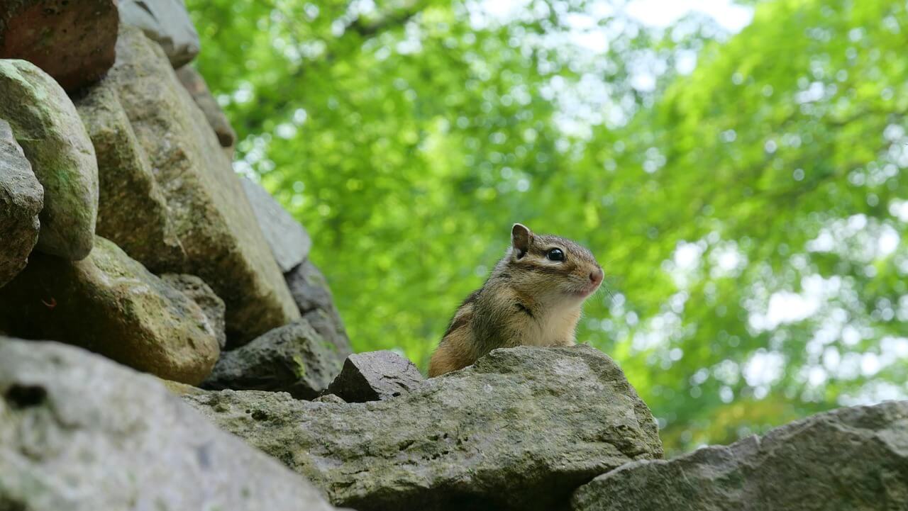 시골살이 멘탈 잡는 법