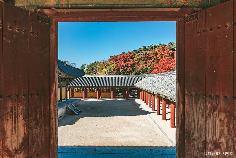 단풍명소 추천 경주 불국사