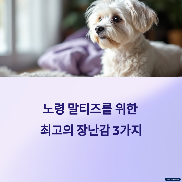 꿀템 장난감