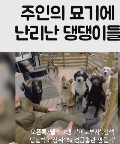 1월 8일 월 신문스크랩