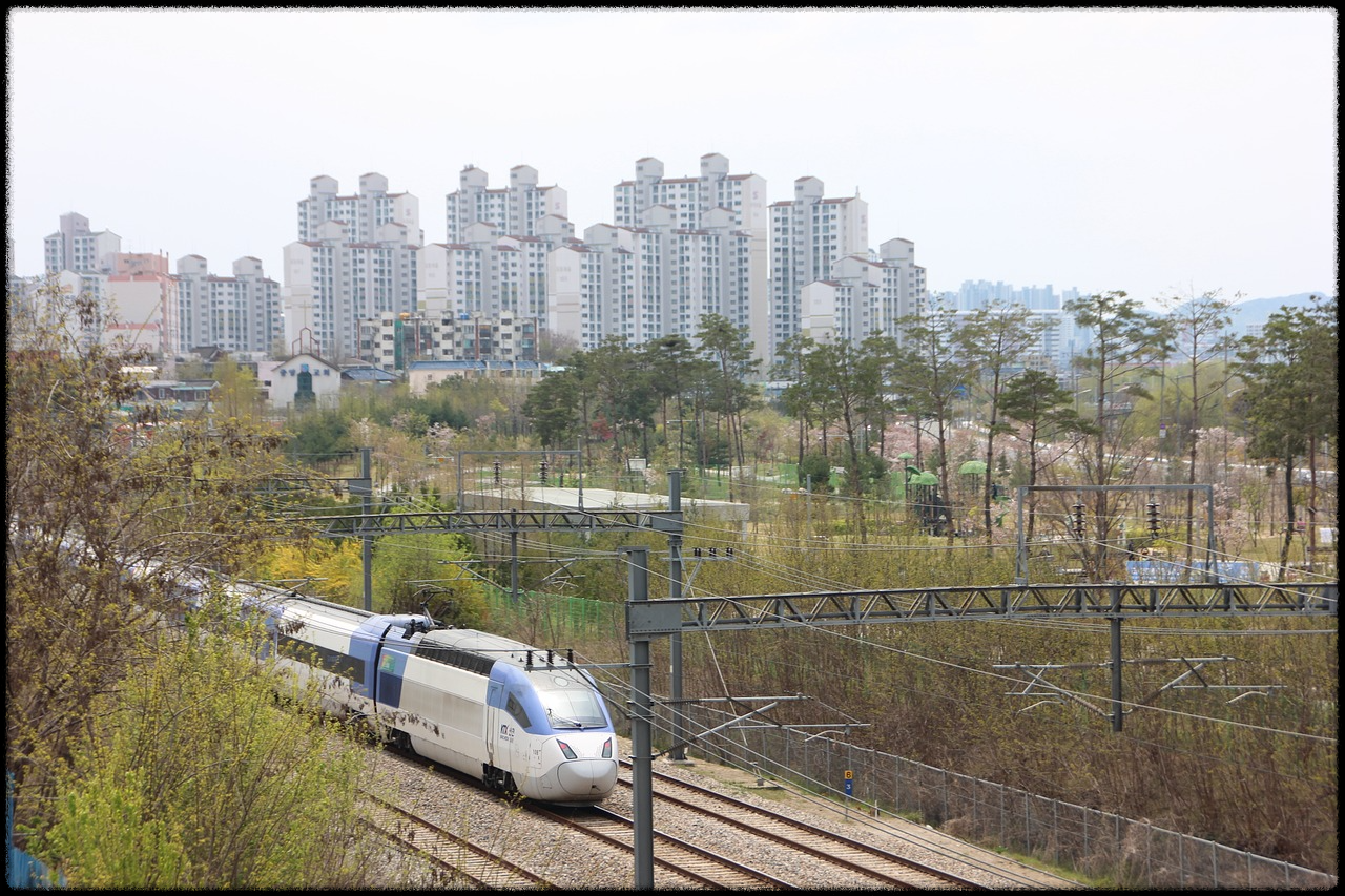 2025 설날 기차표 KTX 예매 일정 및 방법 취소표