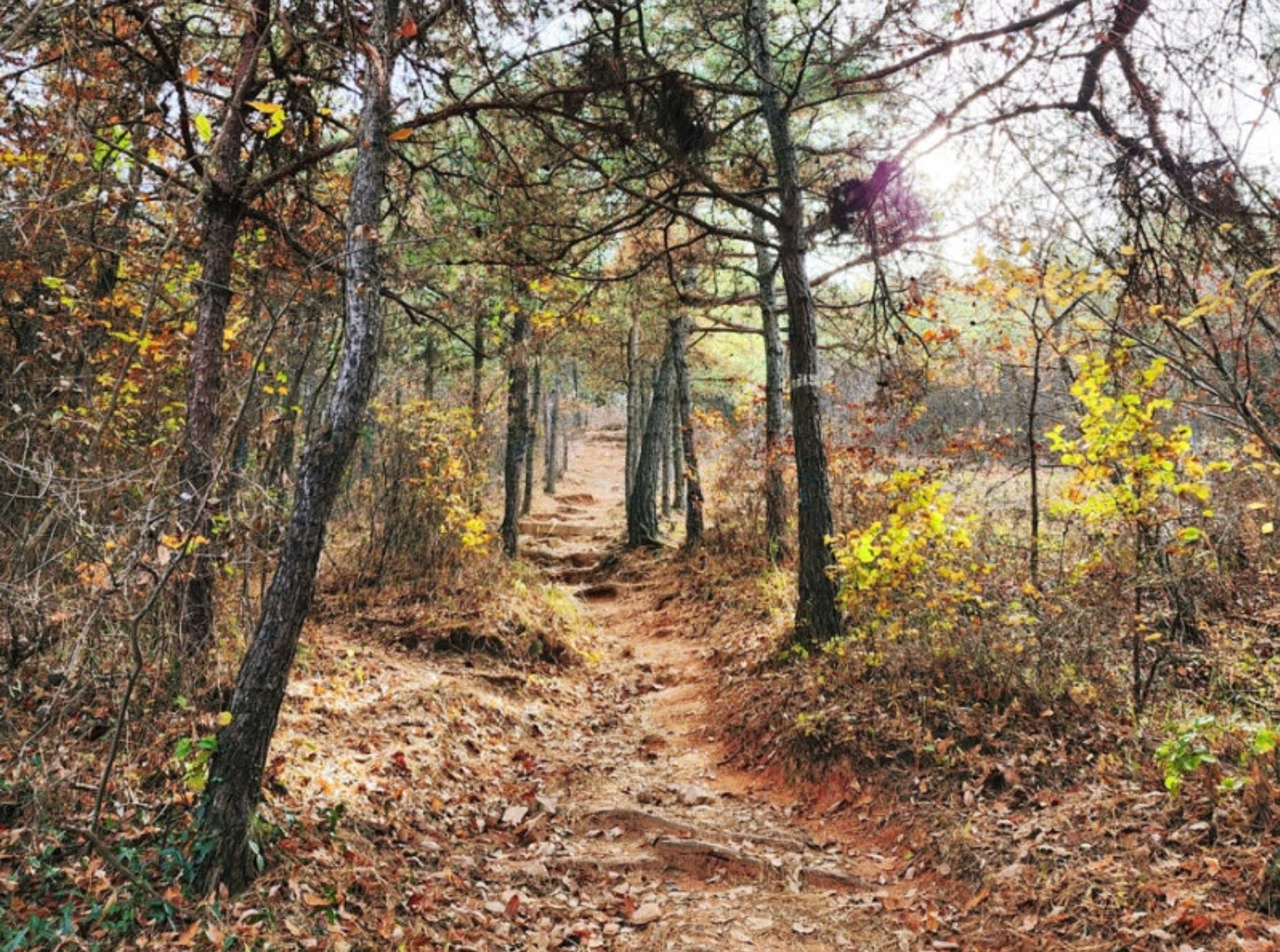 군산 청암산 둘레길 사진